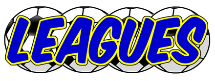 Futsal (5v5 Soccer) Leagues